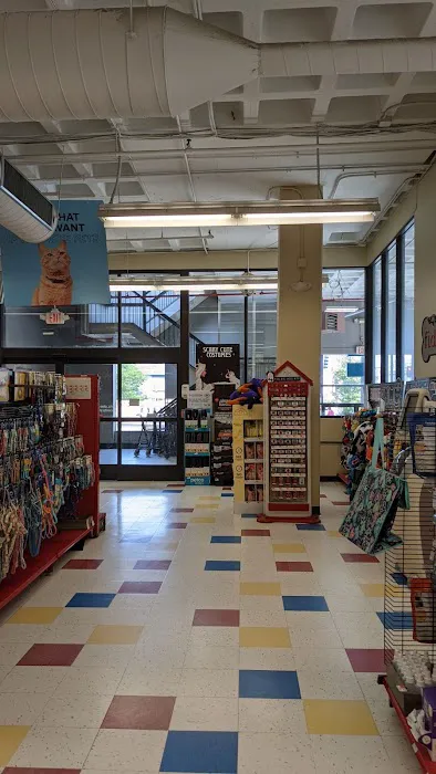 Petco Picture 4
