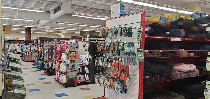 Petco Picture 2