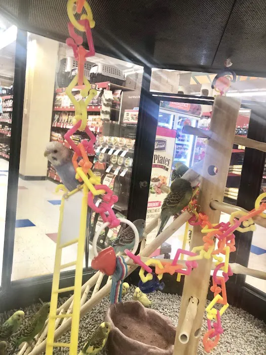 Petco Picture 10