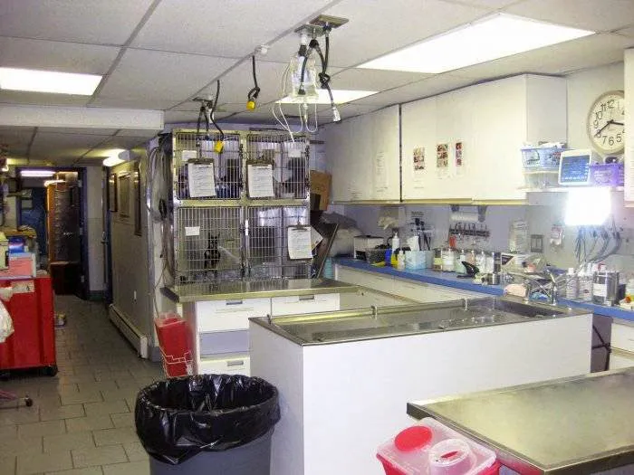 Manhattan Veterinary Group Picture 5