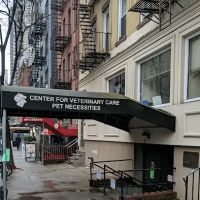 Center for Veterinary Care ico