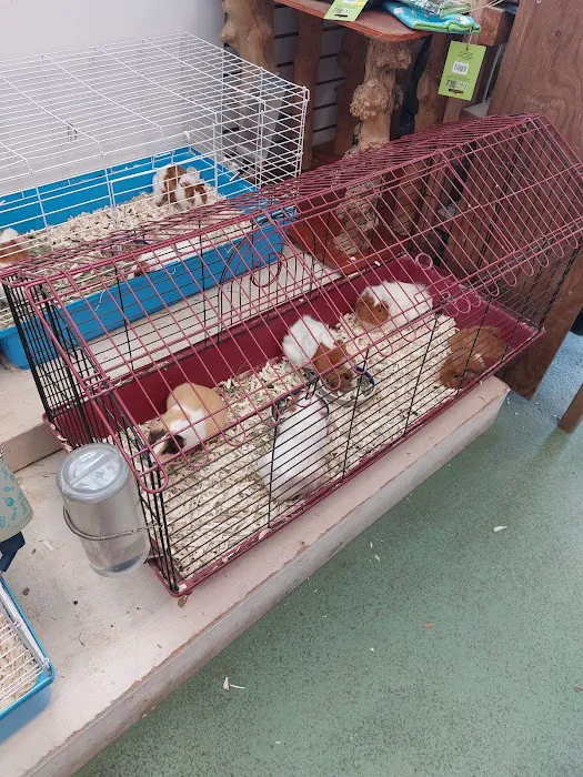 It's A Pet's World Picture 5