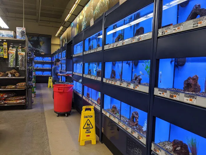Petco Picture 1
