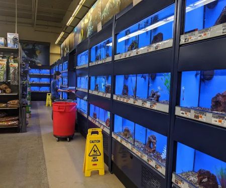 Petco