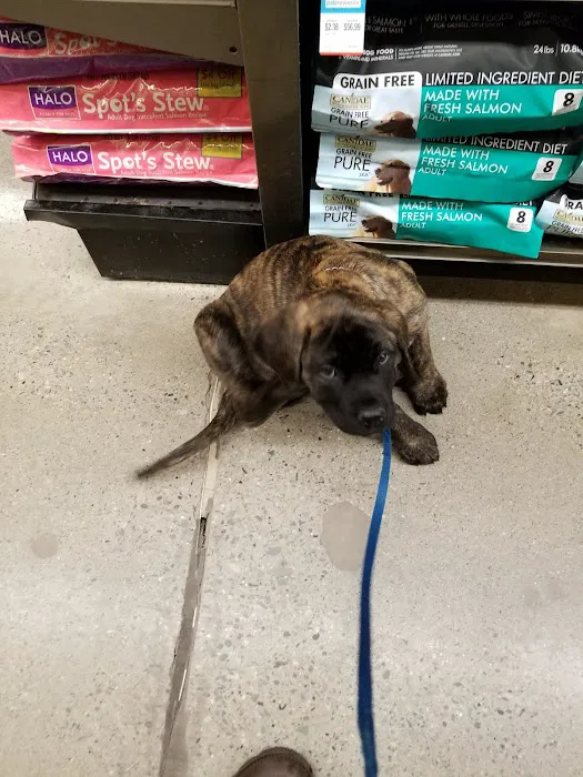 Petco Picture 10