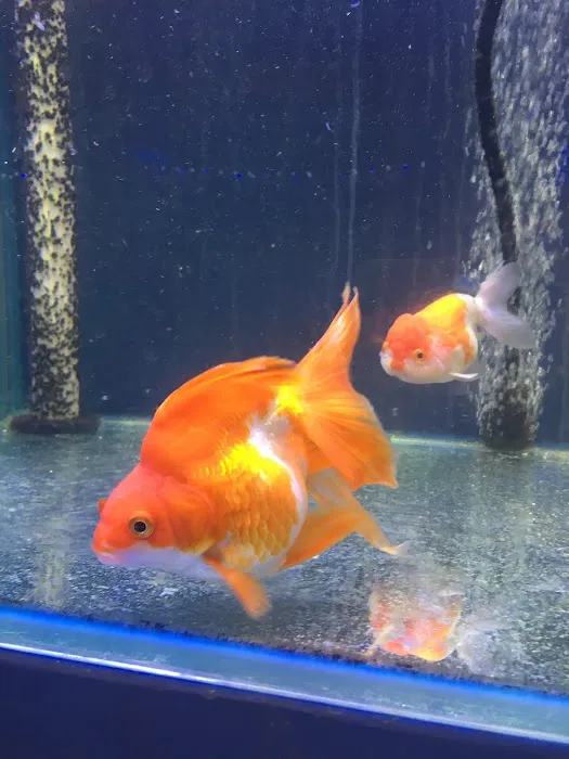 Quincy Aquarium Picture 1