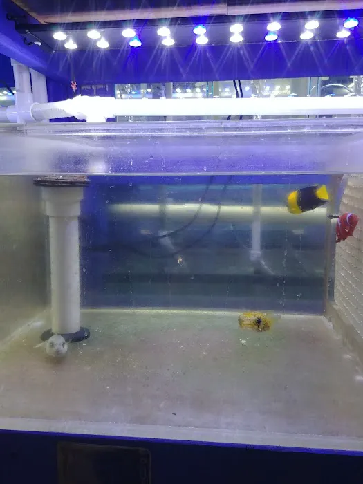 Quincy Aquarium Picture 6