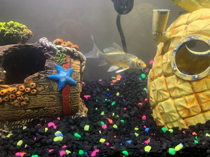 Quincy Aquarium Picture 4