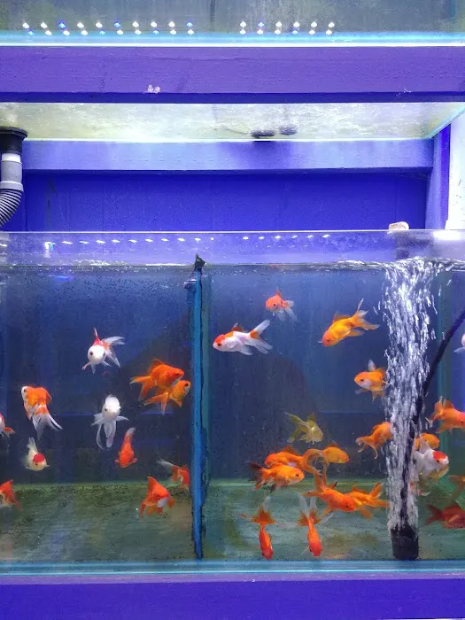 Quincy Aquarium Picture 10