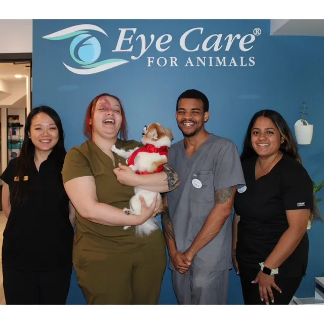 Eye Care for Animals - NYC Picture 8