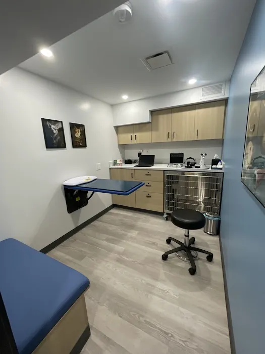 Eye Care for Animals - NYC Picture 2