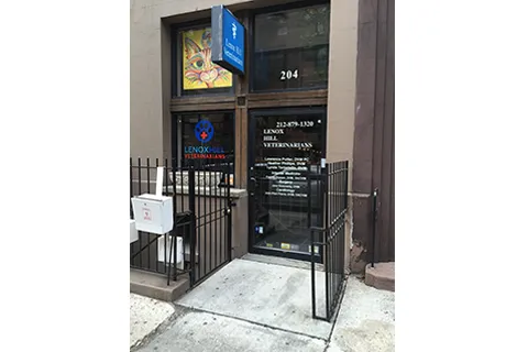 Lenox Hill Veterinarians Picture 1