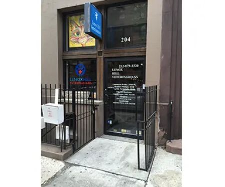 Lenox Hill Veterinarians