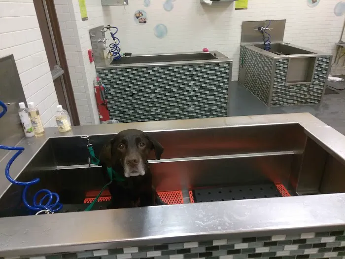 Petco Picture 6