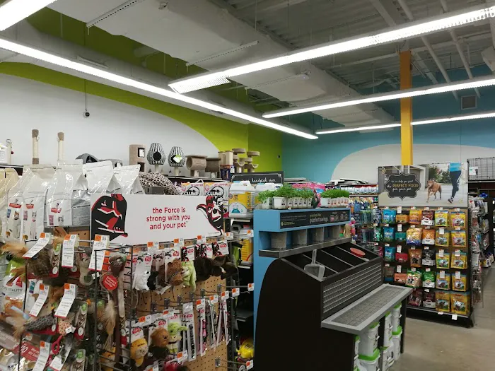 Petco Picture 7