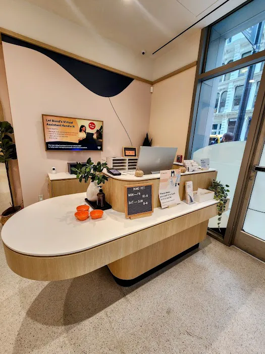 Bond Vet - Financial District Picture 3