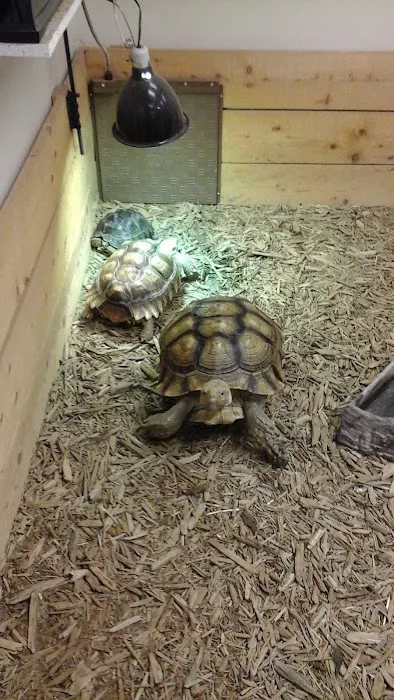 CV Exotics Picture 9