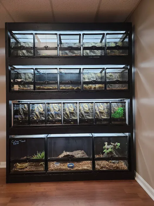 CV Exotics Picture 10