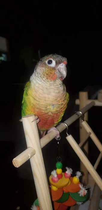 Petco Picture 1