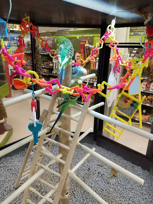 Petco Picture 8