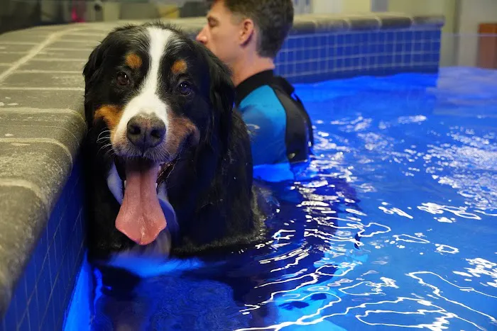 Water4Dogs Rehabilitation Center Picture 6