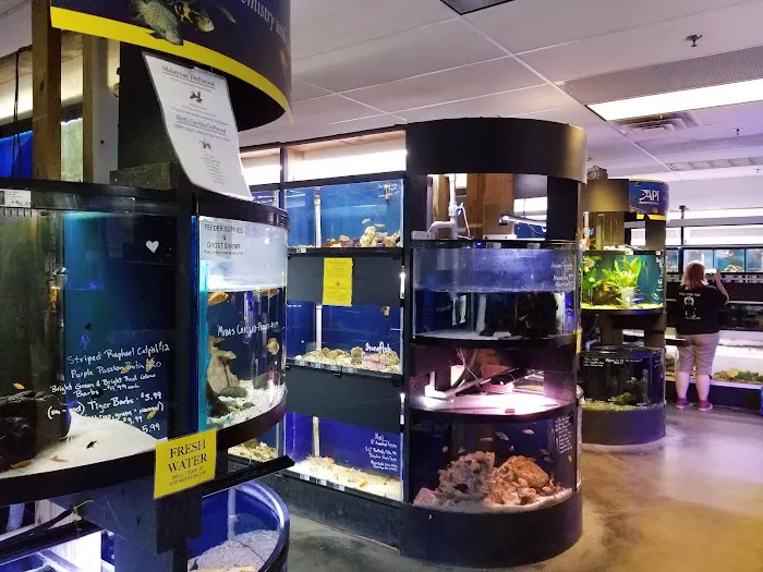 Zoo Creatures Pet Store Picture 3