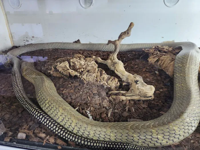 Zoo Creatures Pet Store Picture 4