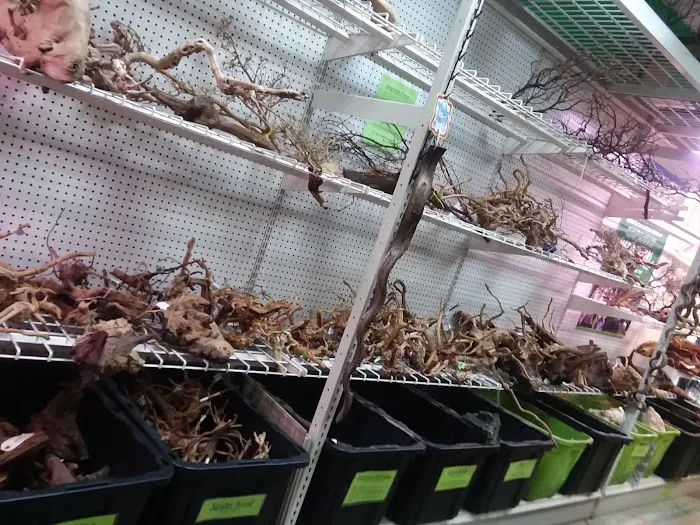 Zoo Creatures Pet Store Picture 2