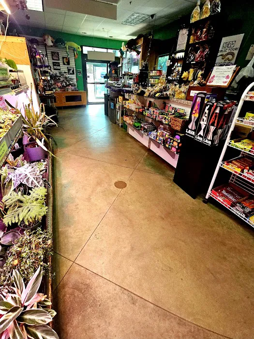 Zoo Creatures Pet Store Picture 10