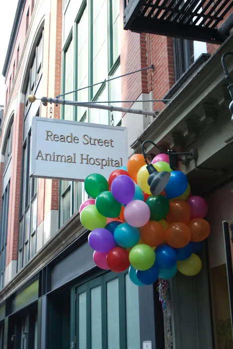 Reade Street Animal Hospital, A Thrive Pet Healthcare Partner Picture 8