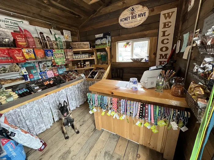 Fox Hill Farm Stand & Pet Store Picture 5