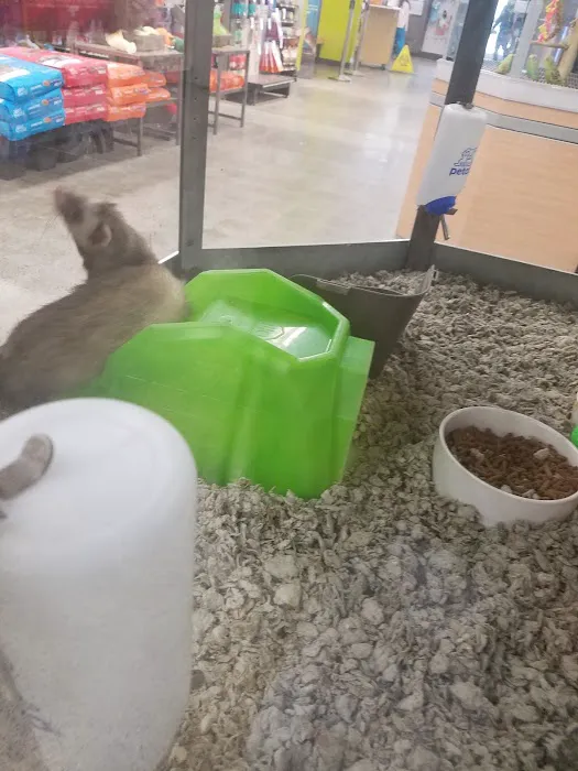 Petco Picture 2