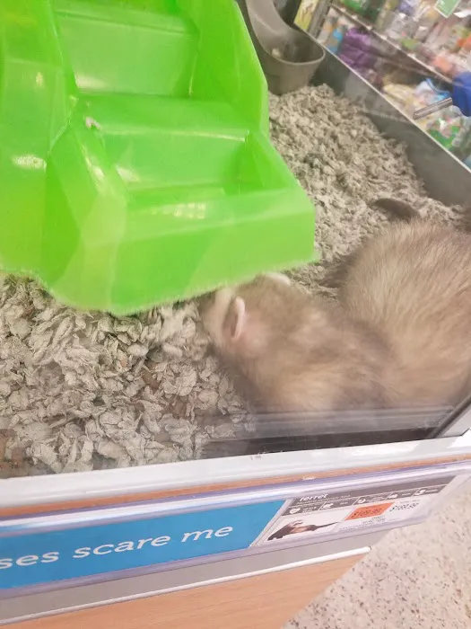 Petco Picture 6