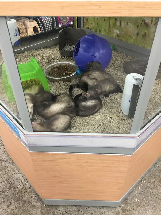 Petco Picture 4