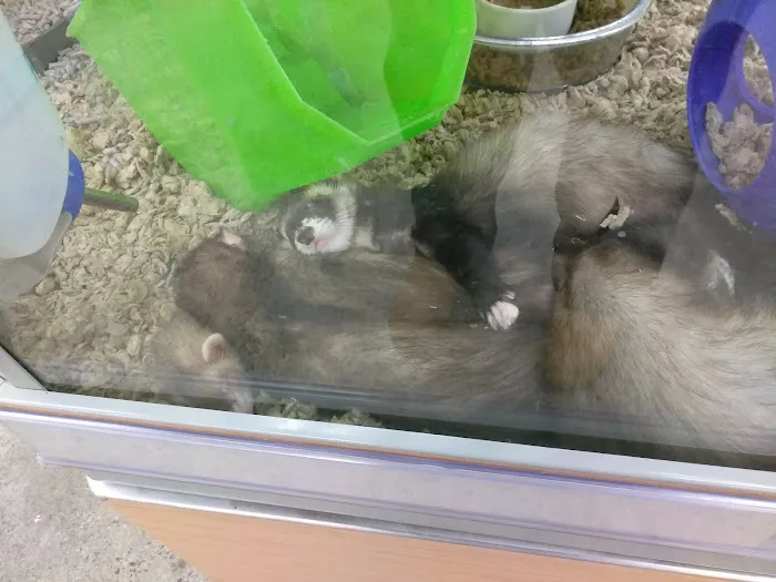 Petco Picture 10