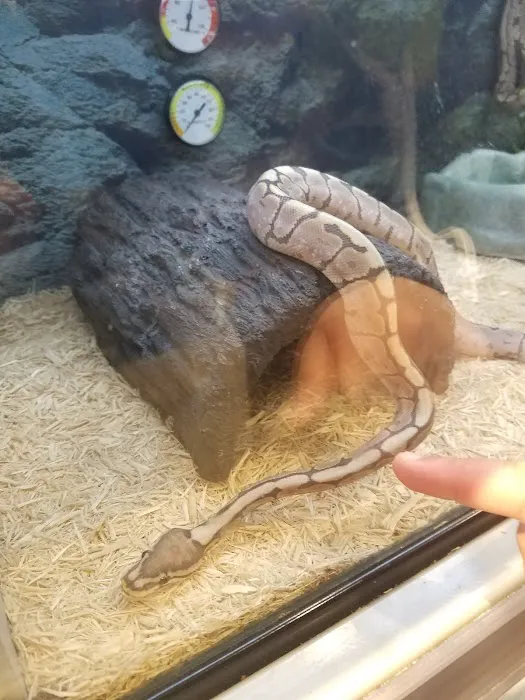 Petco Picture 8