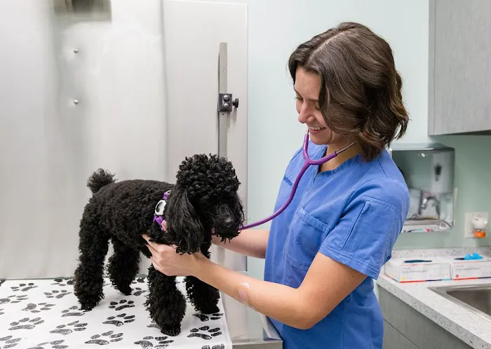Battery Park Veterinary Hospital Picture 7
