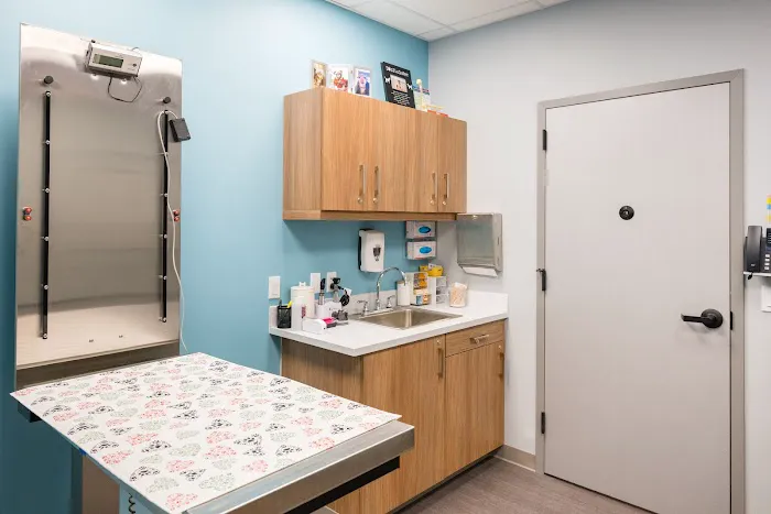 Battery Park Veterinary Hospital Picture 5