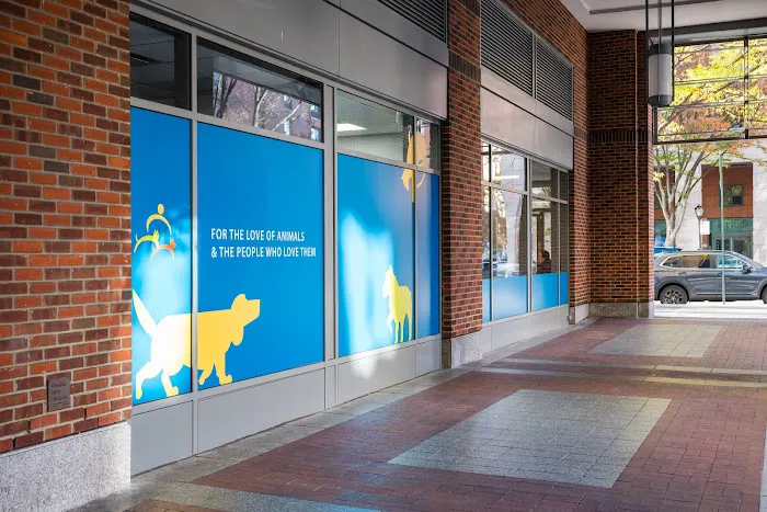 Battery Park Veterinary Hospital Picture 4