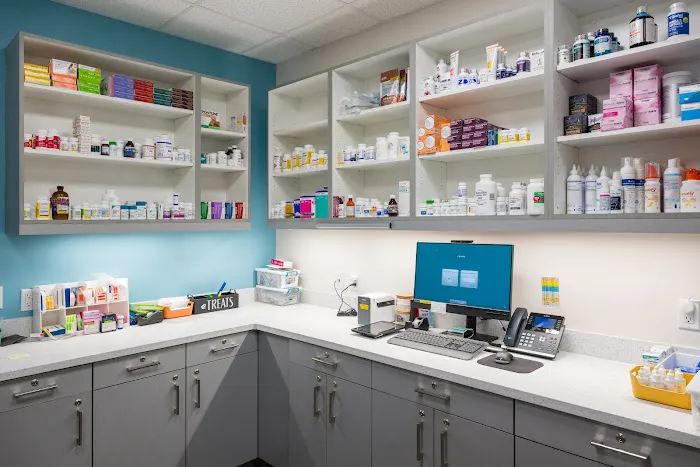 Battery Park Veterinary Hospital Picture 6