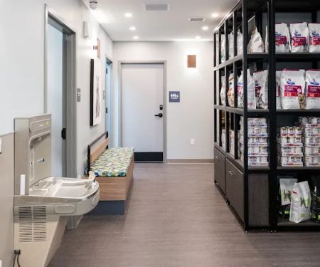 Battery Park Veterinary Hospital