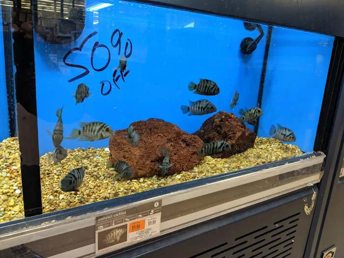 Petco Picture 10