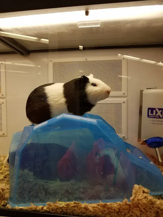 Petco Picture 2