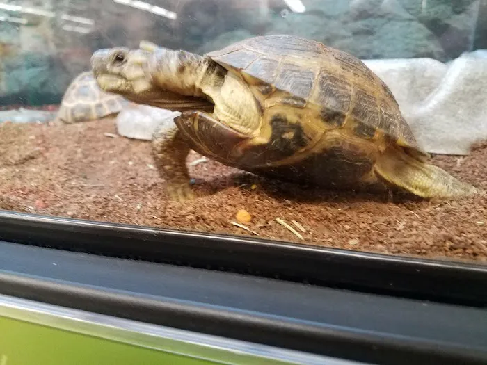 Petco Picture 9