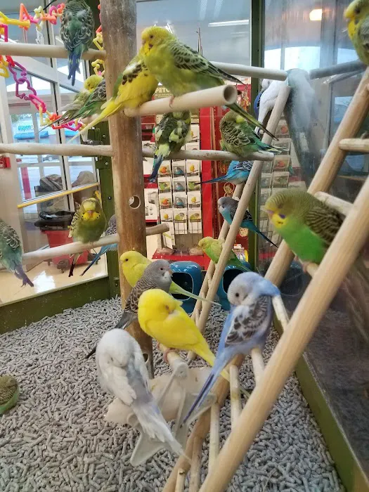 Petco Picture 6