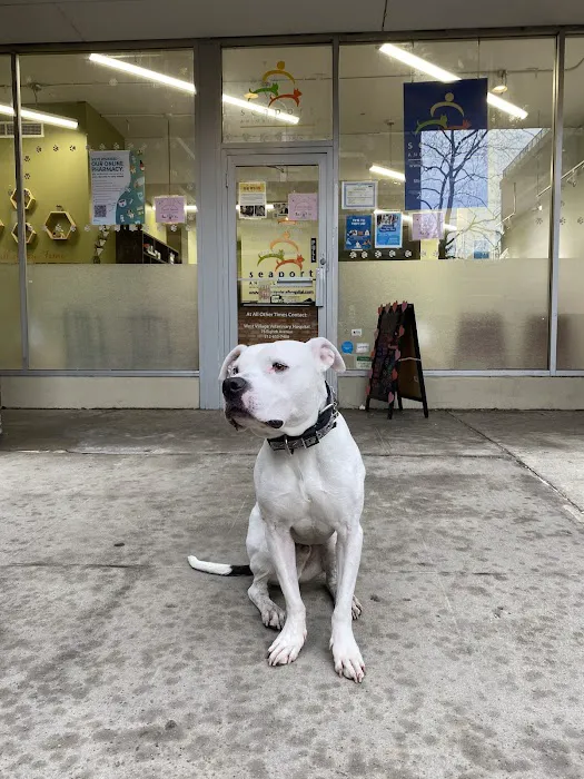 Tribeca Soho Animal Hospital Picture 9