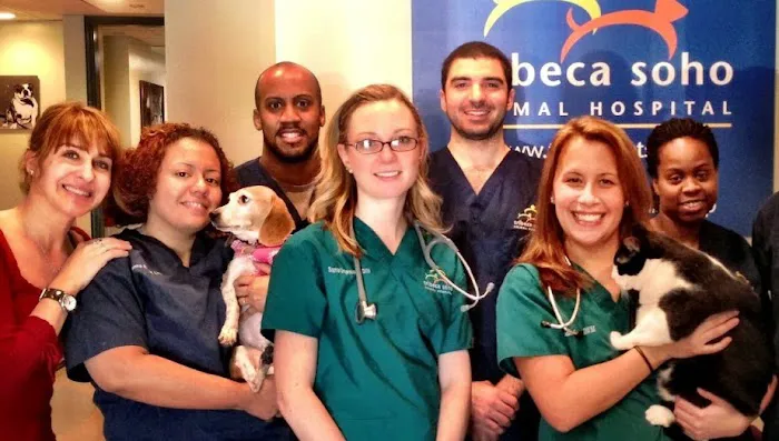 Tribeca Soho Animal Hospital Picture 5