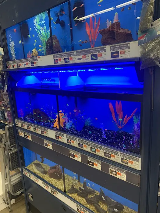 Petco Picture 6