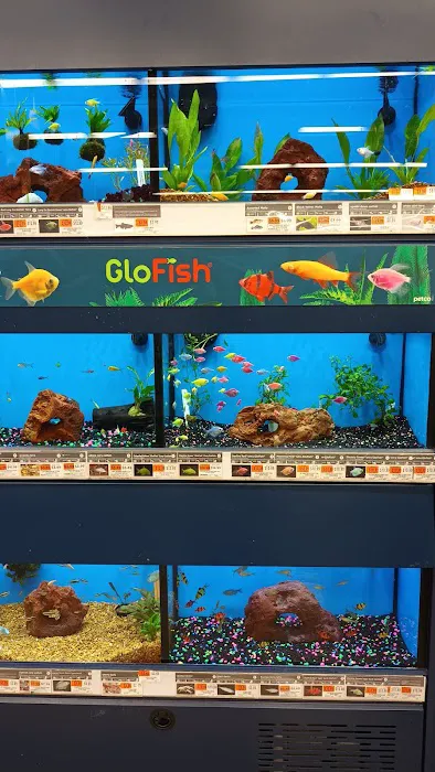 Petco Picture 4