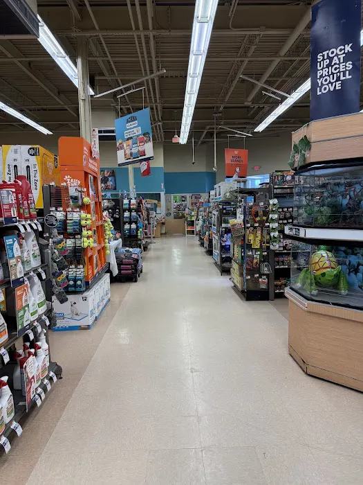 Petco Picture 7